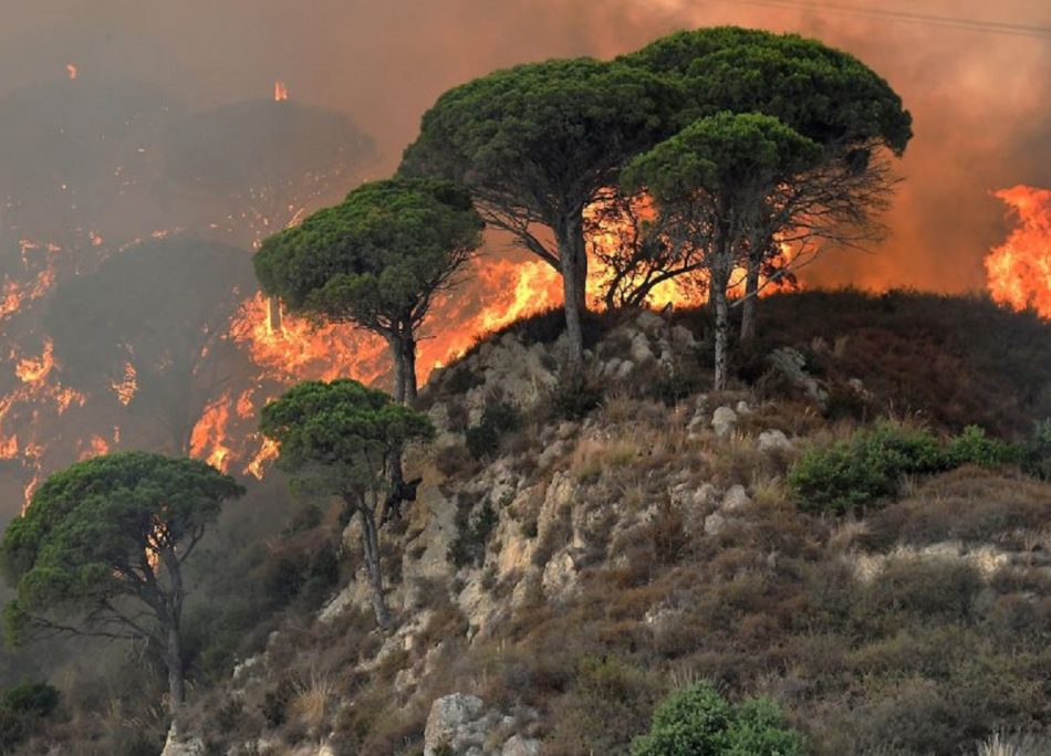 Regione Sardegna: in prima linea  contro gli incendi