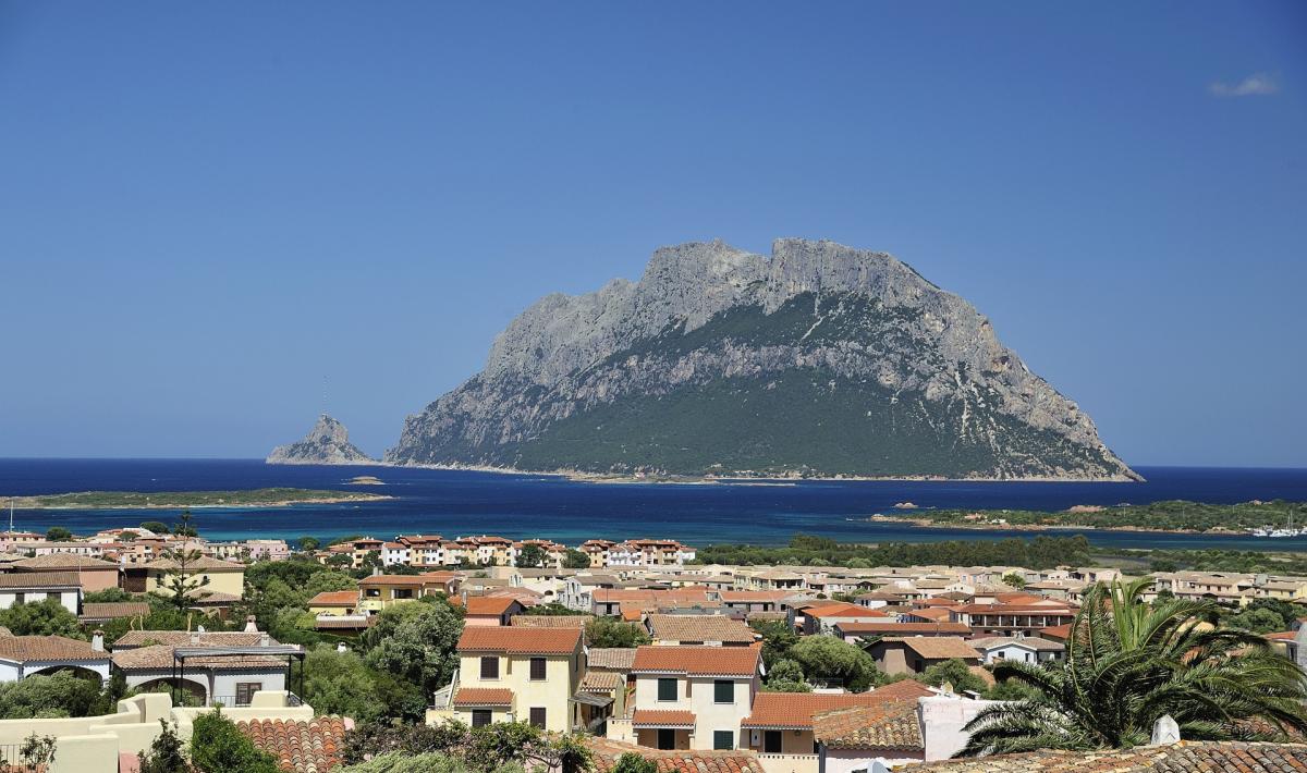 Loiri Porto San Paolo: un'estate di eventi sotto le stelle