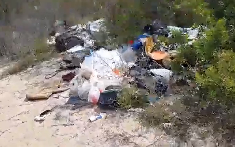 Olbia, povero Lido del Sole: ecco come è ridotta la pineta