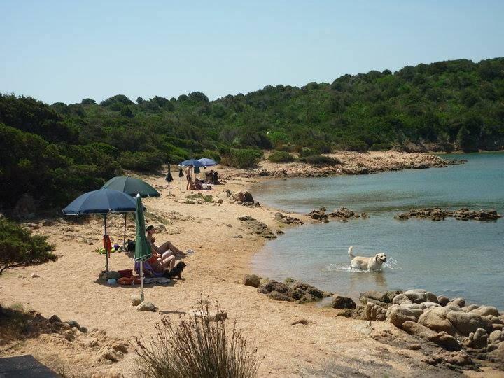 La Maddalena: a Caprera una spiaggia per gli amici a 4 zampe
