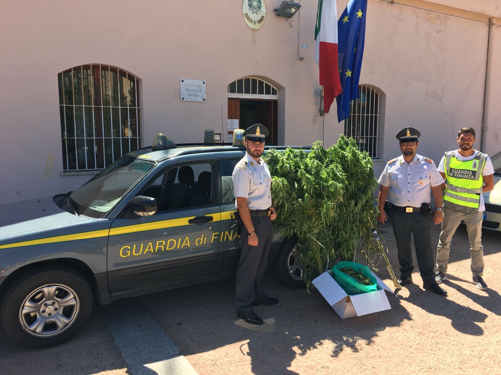 Arzachena, coltivava 29 piante di marijuana: arrestato