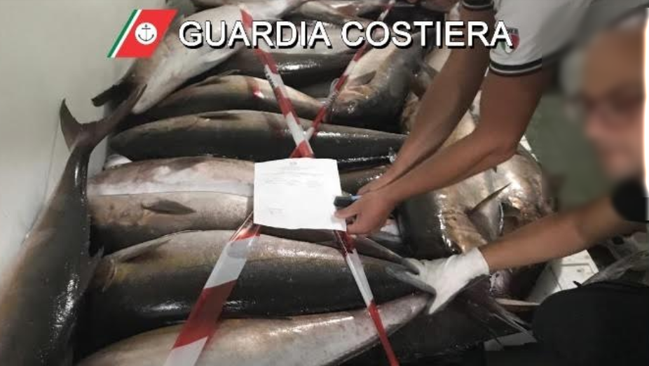 Nord Sardegna, pesca illecita: 800kg di pesce sequestrato più maxi sanzione