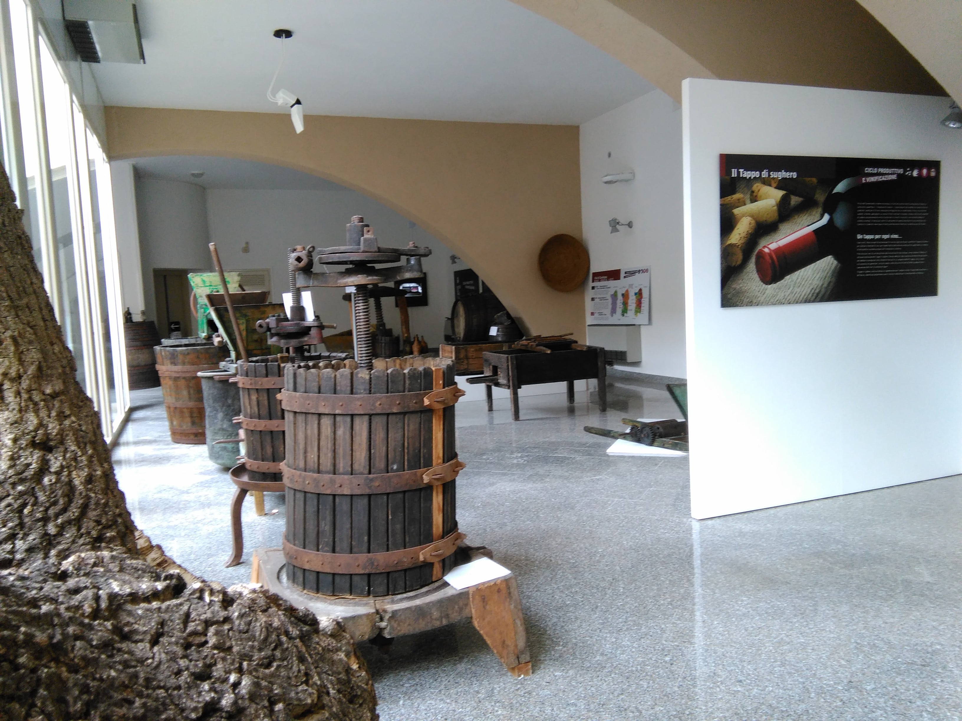 Museo del Vino di Berchidda: weekend di degustazioni e storia dei vigneti