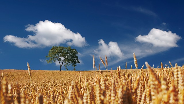 Sardegna: è allarme nitrati per l'agricoltura da parte dell'Ue