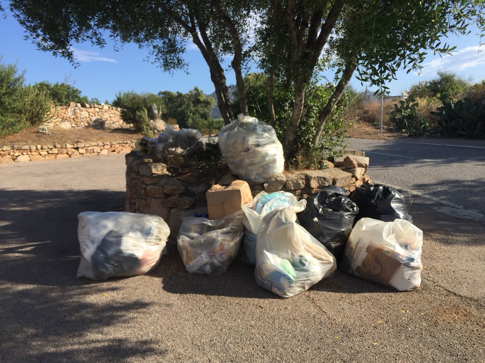 Olbia, povero Acquedotto Romano: la discarica nel sito archeologico