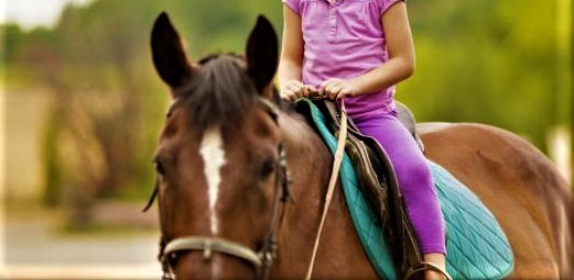 Ambito di Olbia: al via le attività di sport terapia a cavallo