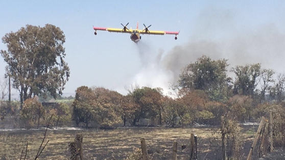 Santa Teresa, incendi: premiate le associazioni di Protezione Civile