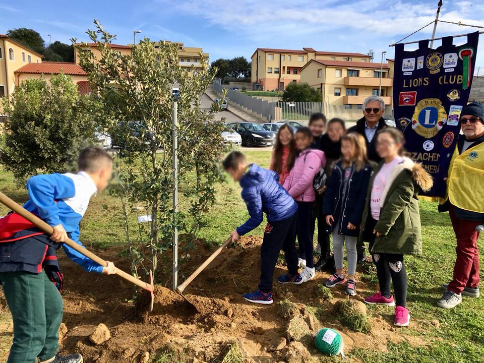 Arzachena: piantati 30 nuovi alberi al parco cittadino di Pastura