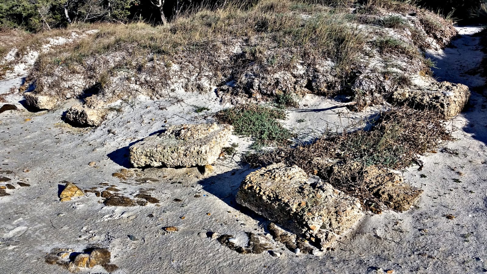 Golfo Aranci: scoperta a Cala Sabina?