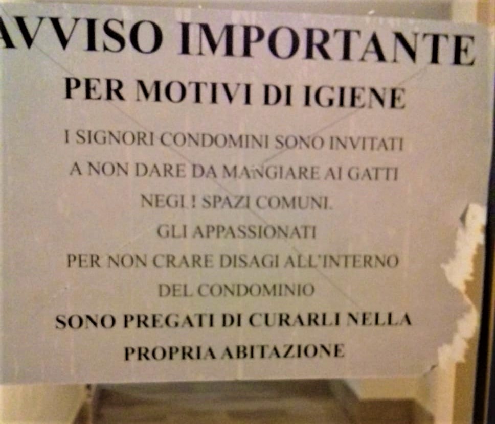 Olbia: gatti alle Mura Puniche, spunta un cartello di invito ai condomini