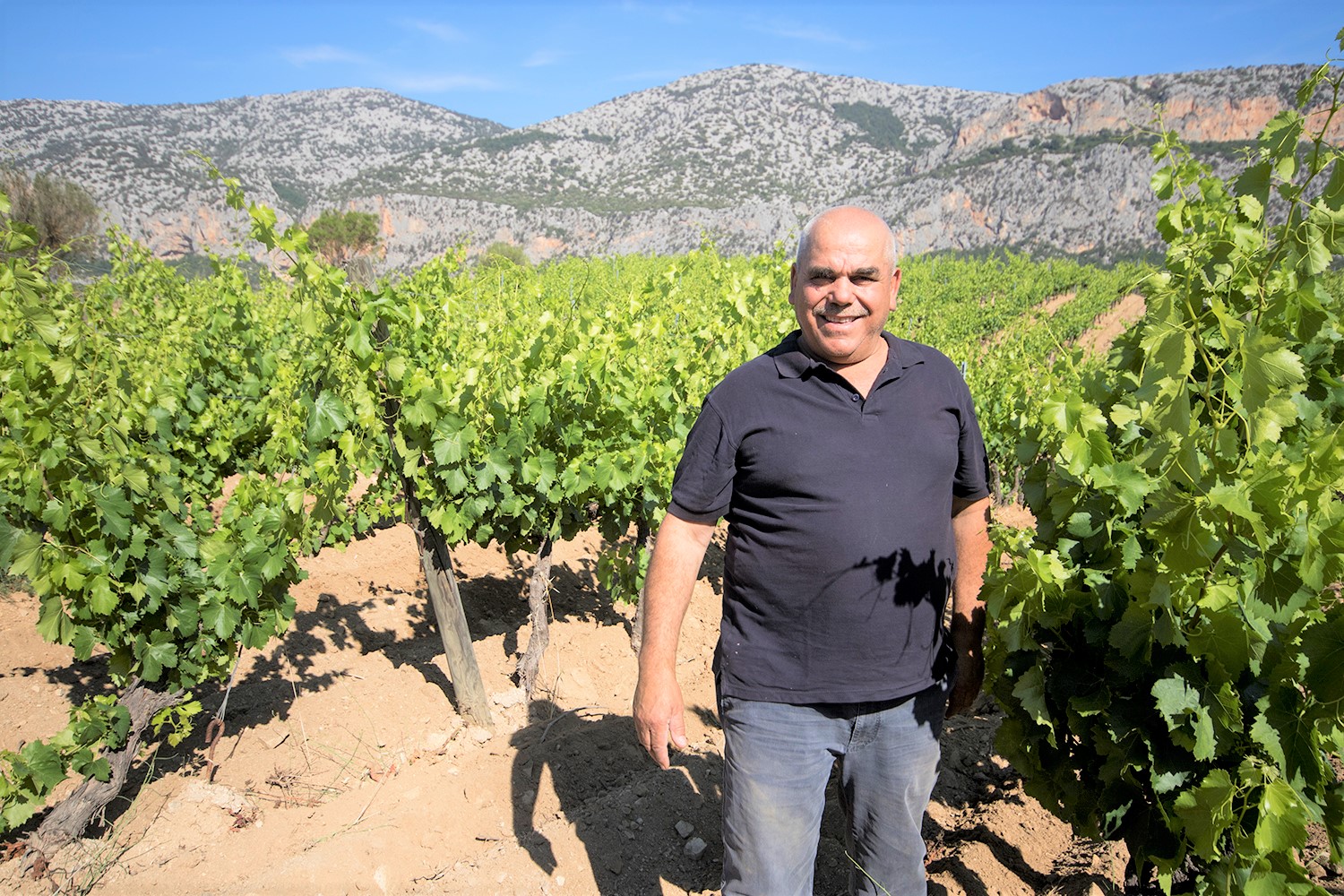 Per la Cantina Berritta di Dorgali arriva una pioggia di medaglie d'oro