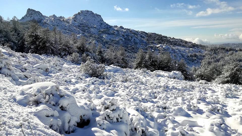 *VIDEO* La neve sul Limbara ci regala un paesaggio fiabesco