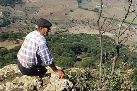 Ma non ci piegheremo