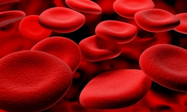 Olbia, anemia mediterranea: quando le trasfusioni di sangue si facevano a Sassari