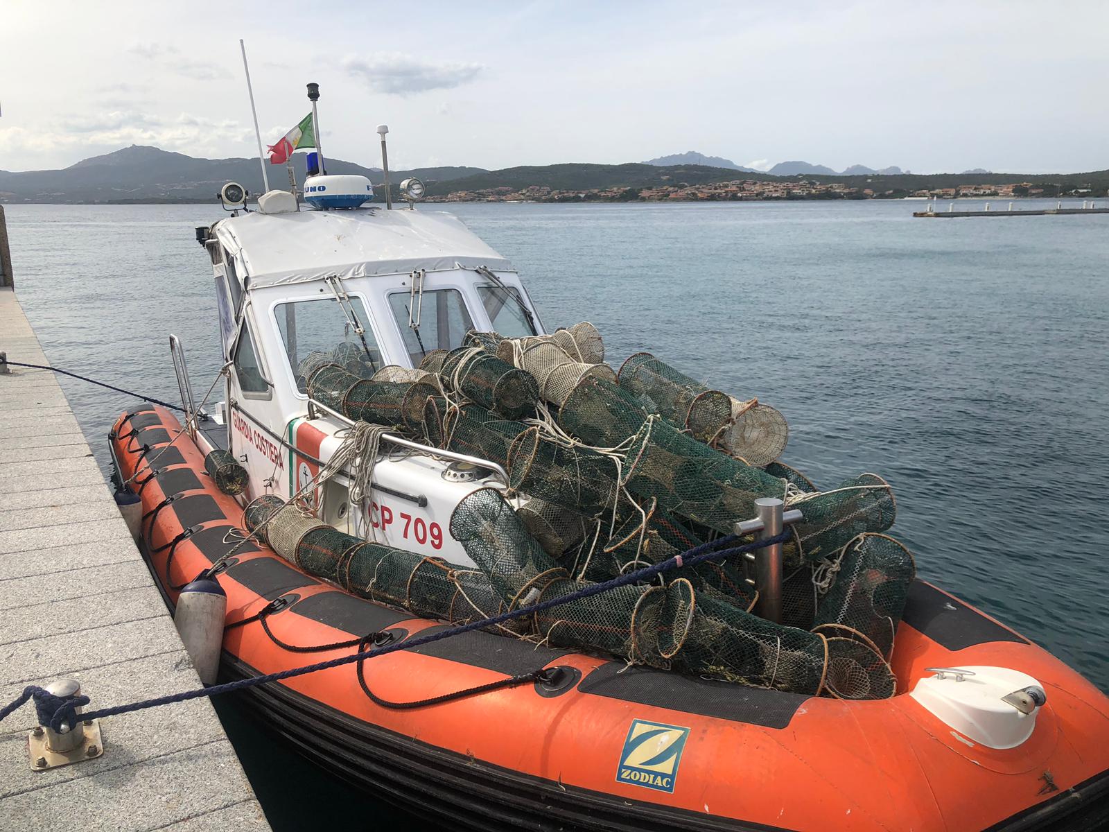 Golfo Aranci, sequestro nasse abusive: liberati oltre 120 animali