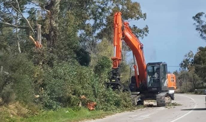 Arzachena: al via il bando per il servizio sfalcio erba dalle strade urbane