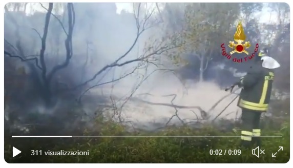 Arzachena: incendio nella macchia mediterranea