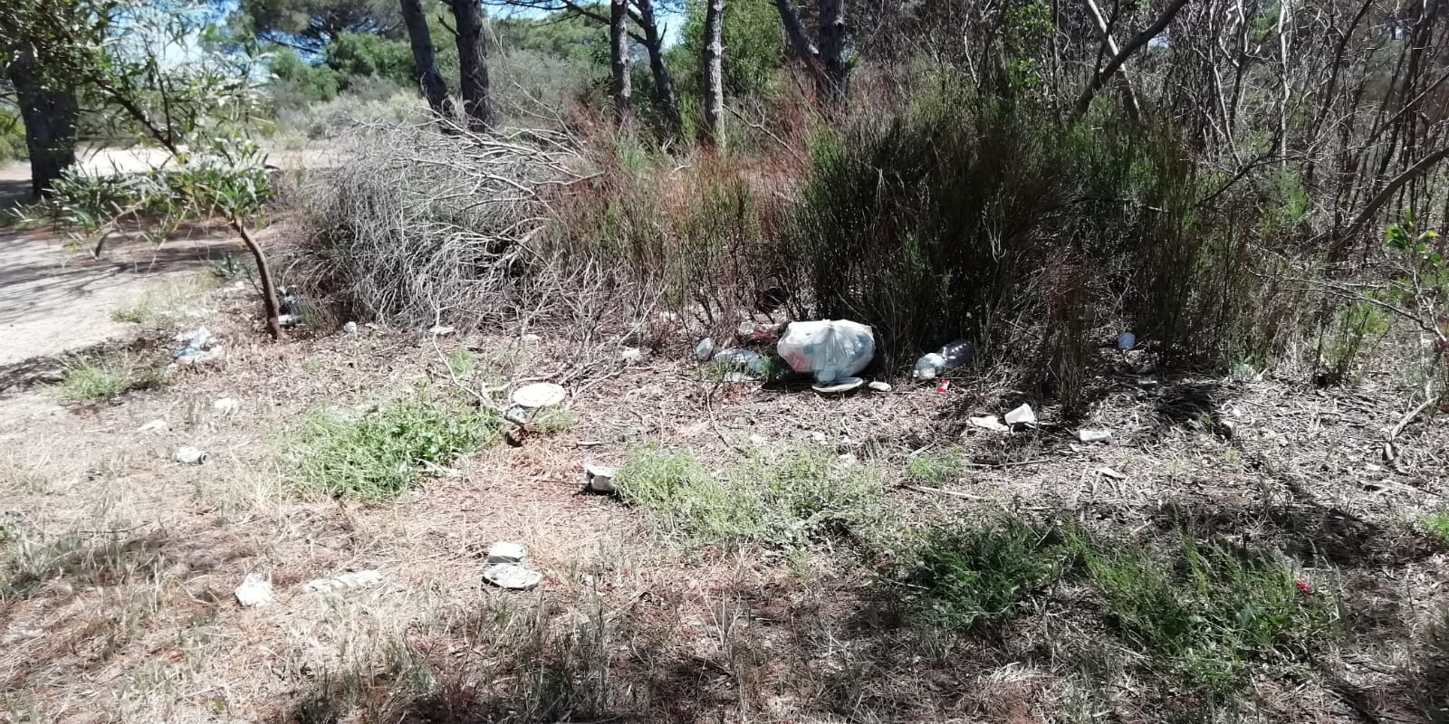 Olbia, Lido del Sole: una giornata per pulire la spiaggia