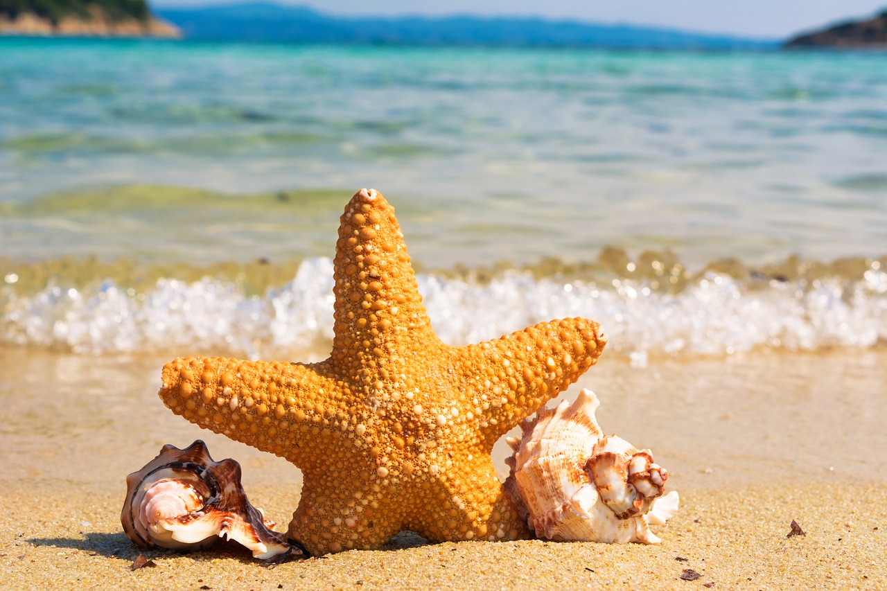 Bandiere blu spiagge, Abbanoa: trattati ogni giorno 400 milioni di litri di reflui