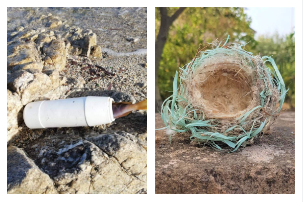 Sardegna, emergenza plastica: la natura continua a lanciare i suoi SOS