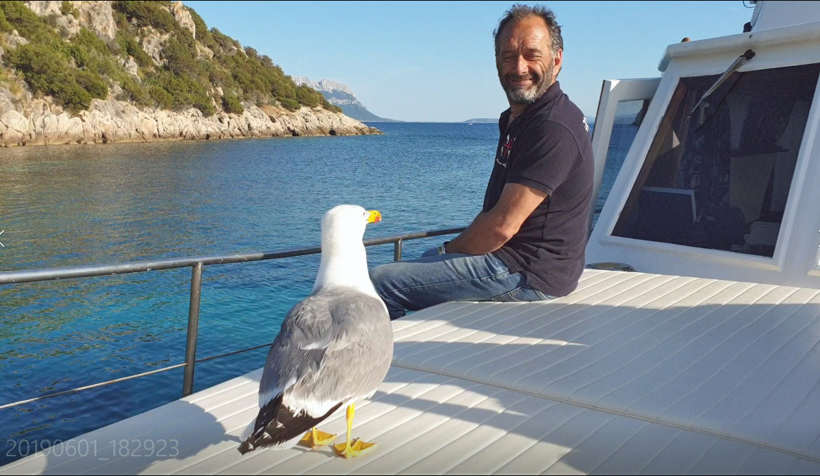 *VIDEO* Paolo e il gabbiano Jonathan, amici in nome del pecorino sardo