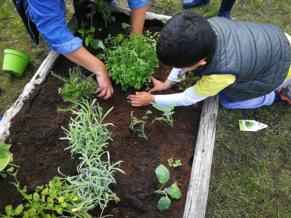 Olbia: piccoli olbiesi a lezione di orto