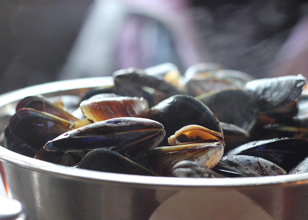 Olbia: stelle cadenti e cozze  alla cena solidale