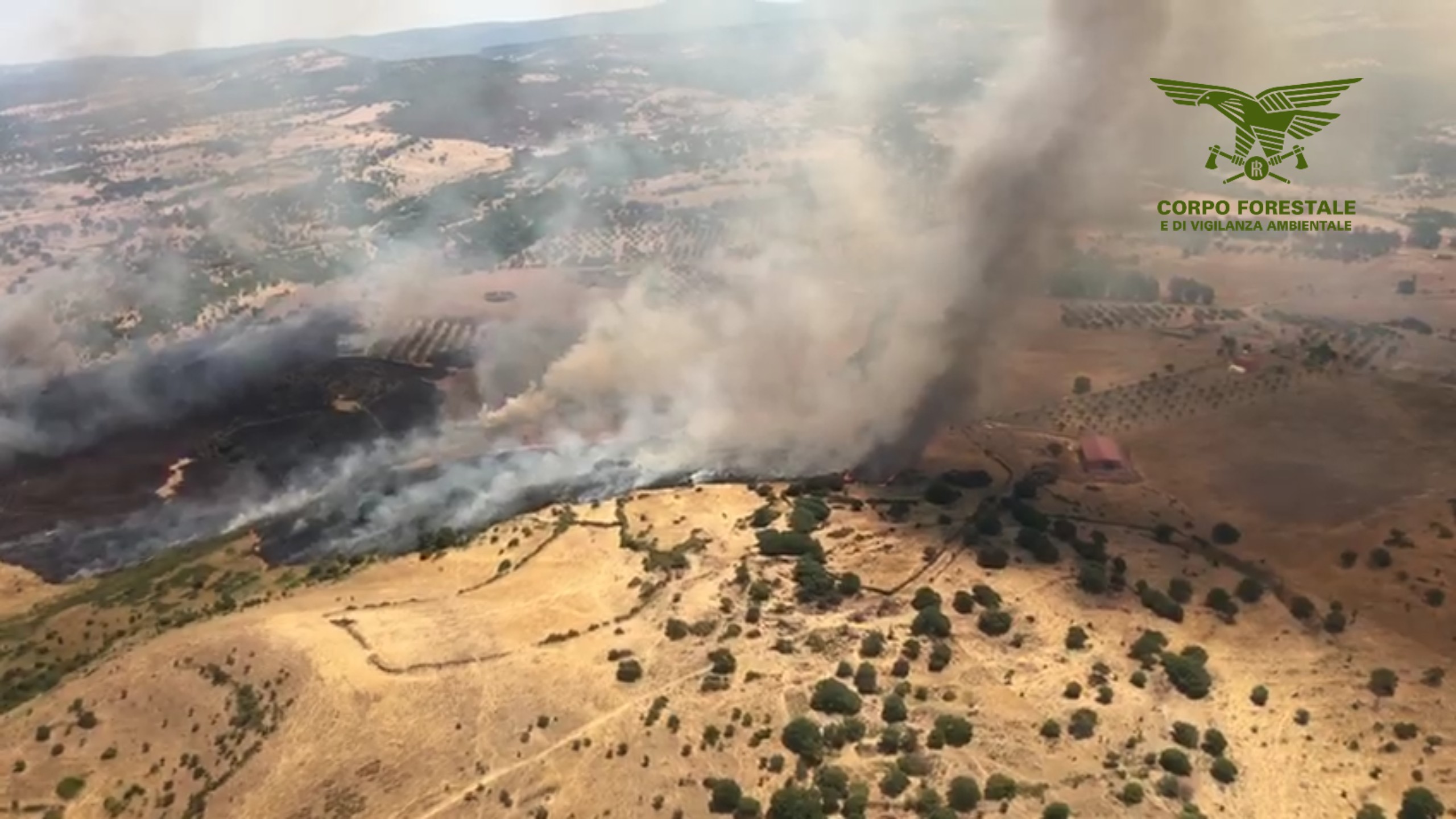 Grosso incendio a Bonorva: 2  canadair e 4 elicotteri lottano contro le fiamme