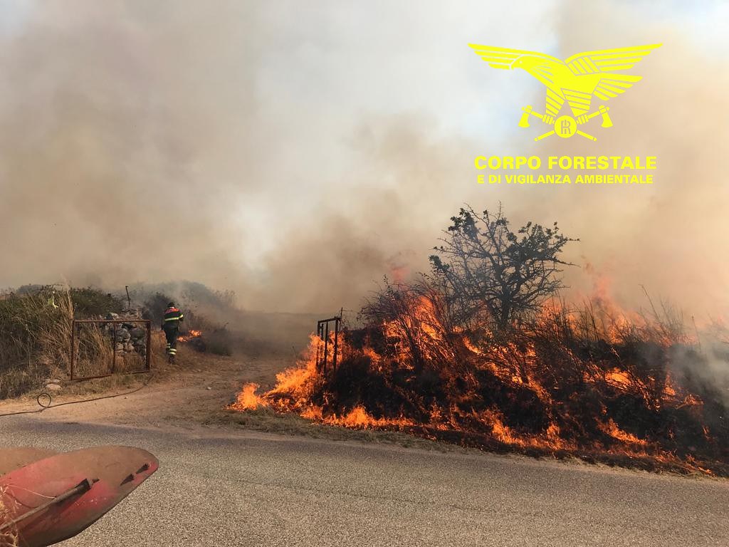 Sardegna, oggi 17 incendi: elicotteri in azione, ettari bruciati