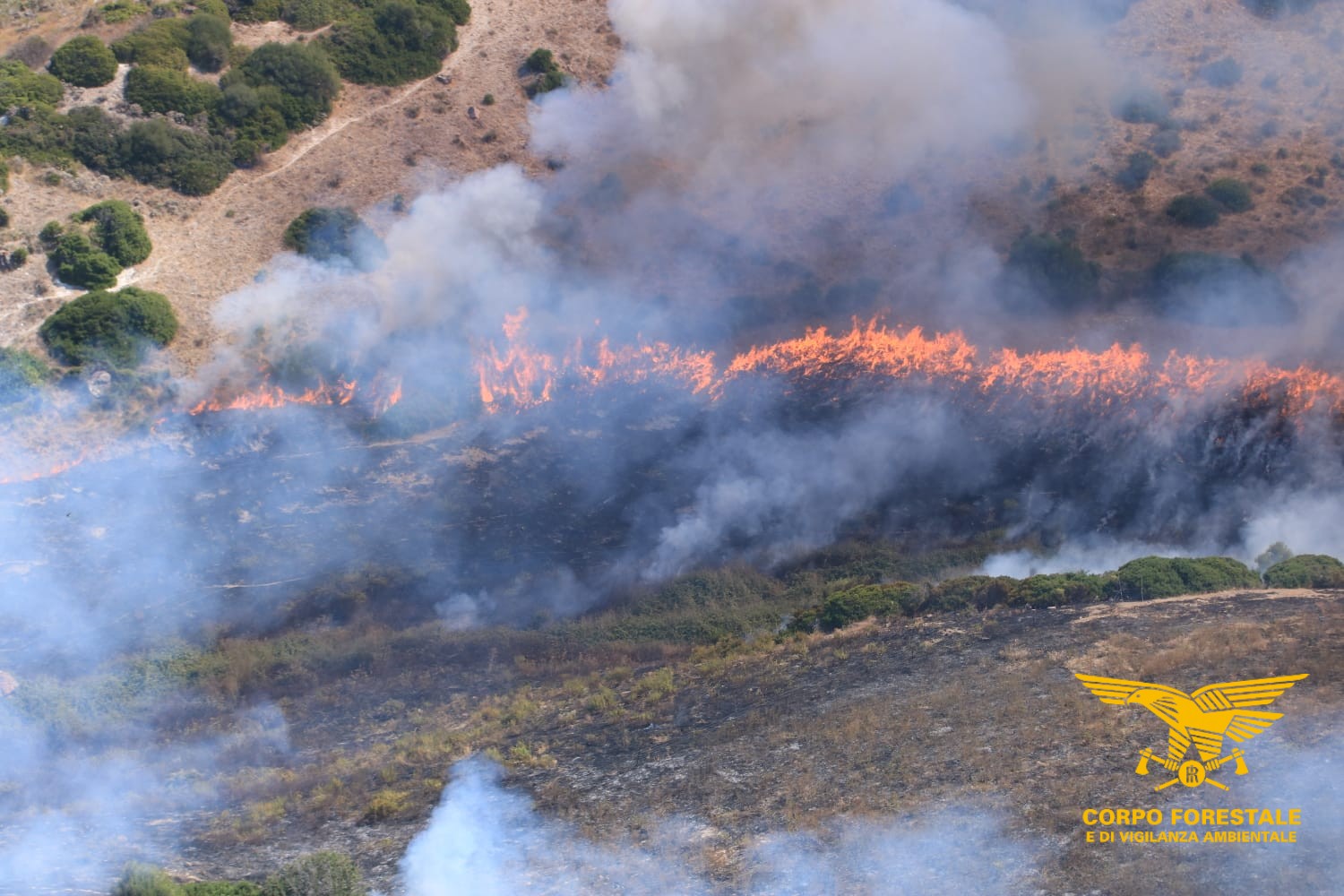 Sardegna, nuova giornata di incendi: fiamme su boschi e pascoli
