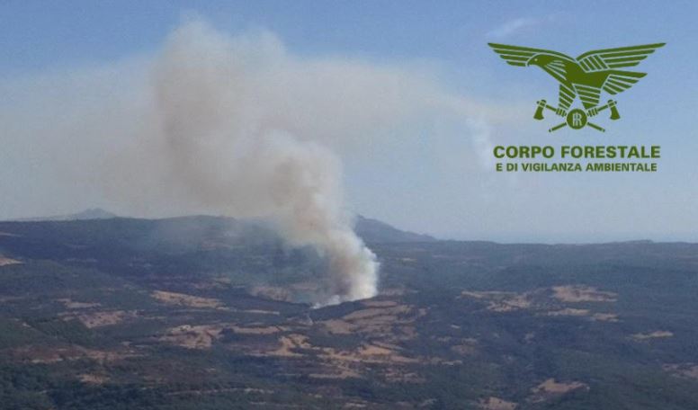 Sardegna: Corpo Forestale impegnato nello spegnimento di 18 incendi
