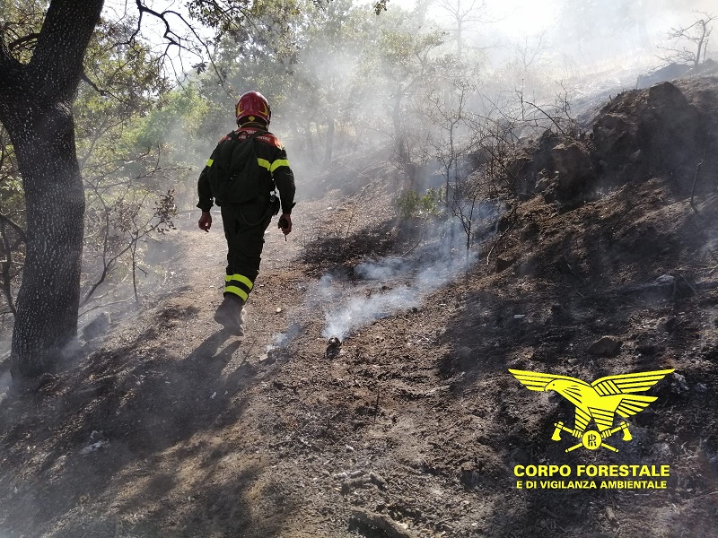 La Gallura sta bruciando: incendi a Luras e Berchidda