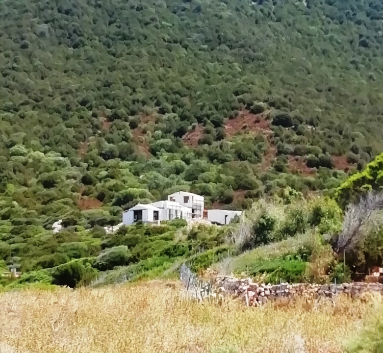 Cantiere edilizio e lavori in corso a Tavolara: parla il Grig