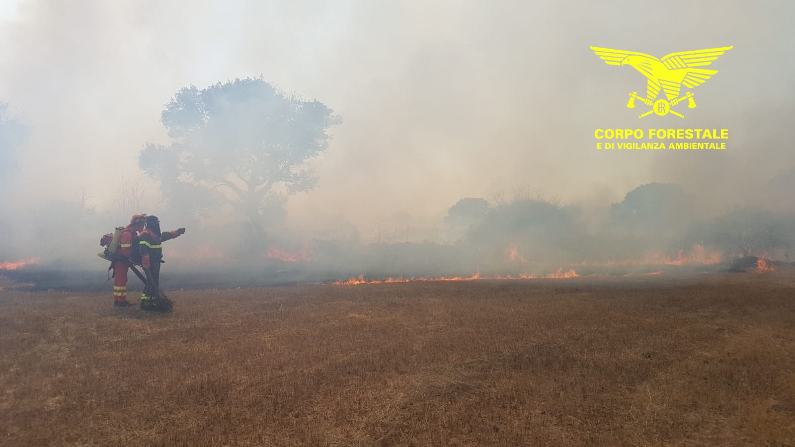 Budoni: fiamme a Monte Rena, in azione l'elicottero