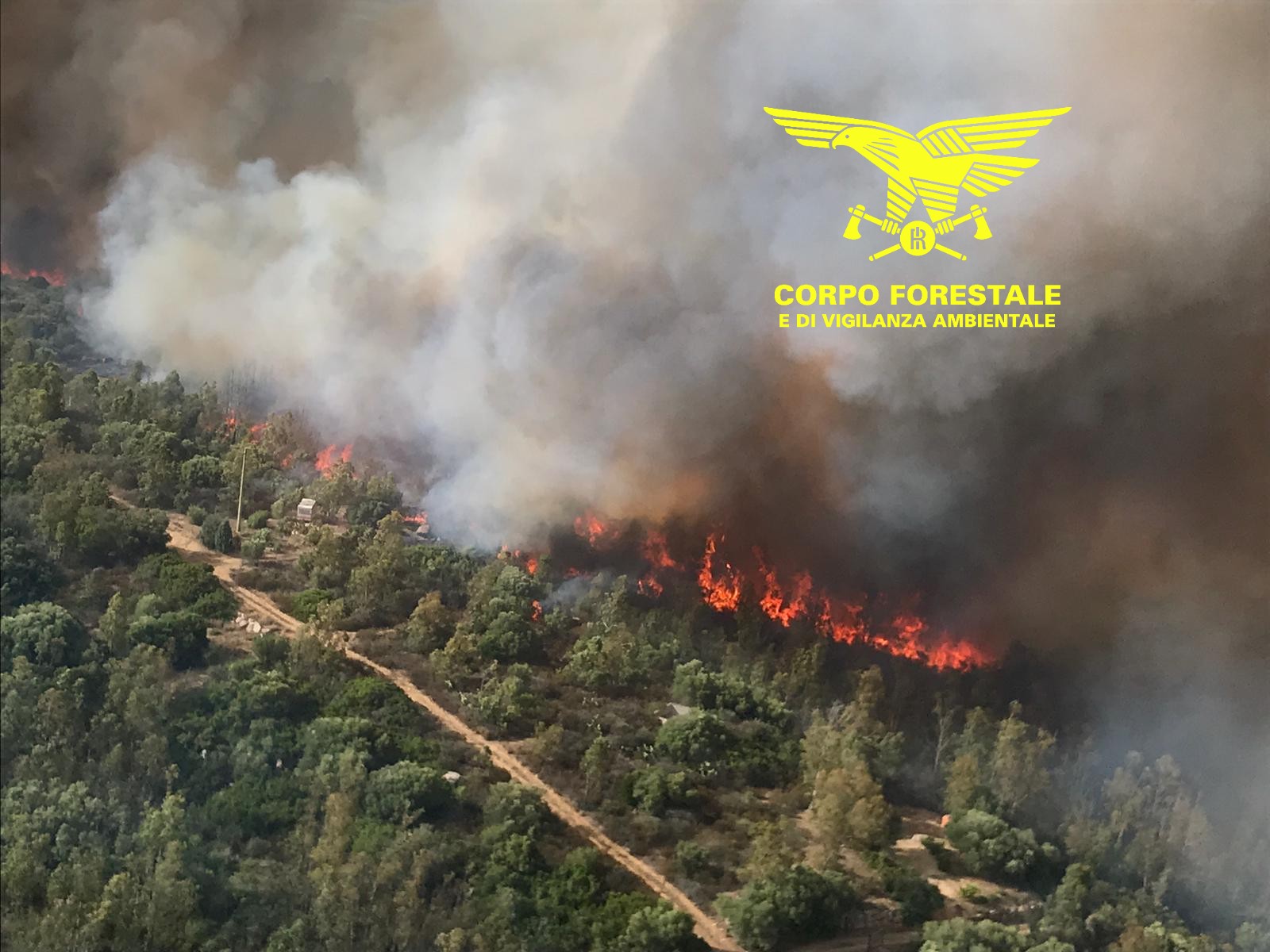 Domenica di fuoco in Sardegna: un altro incendio, in volo tre elicotteri