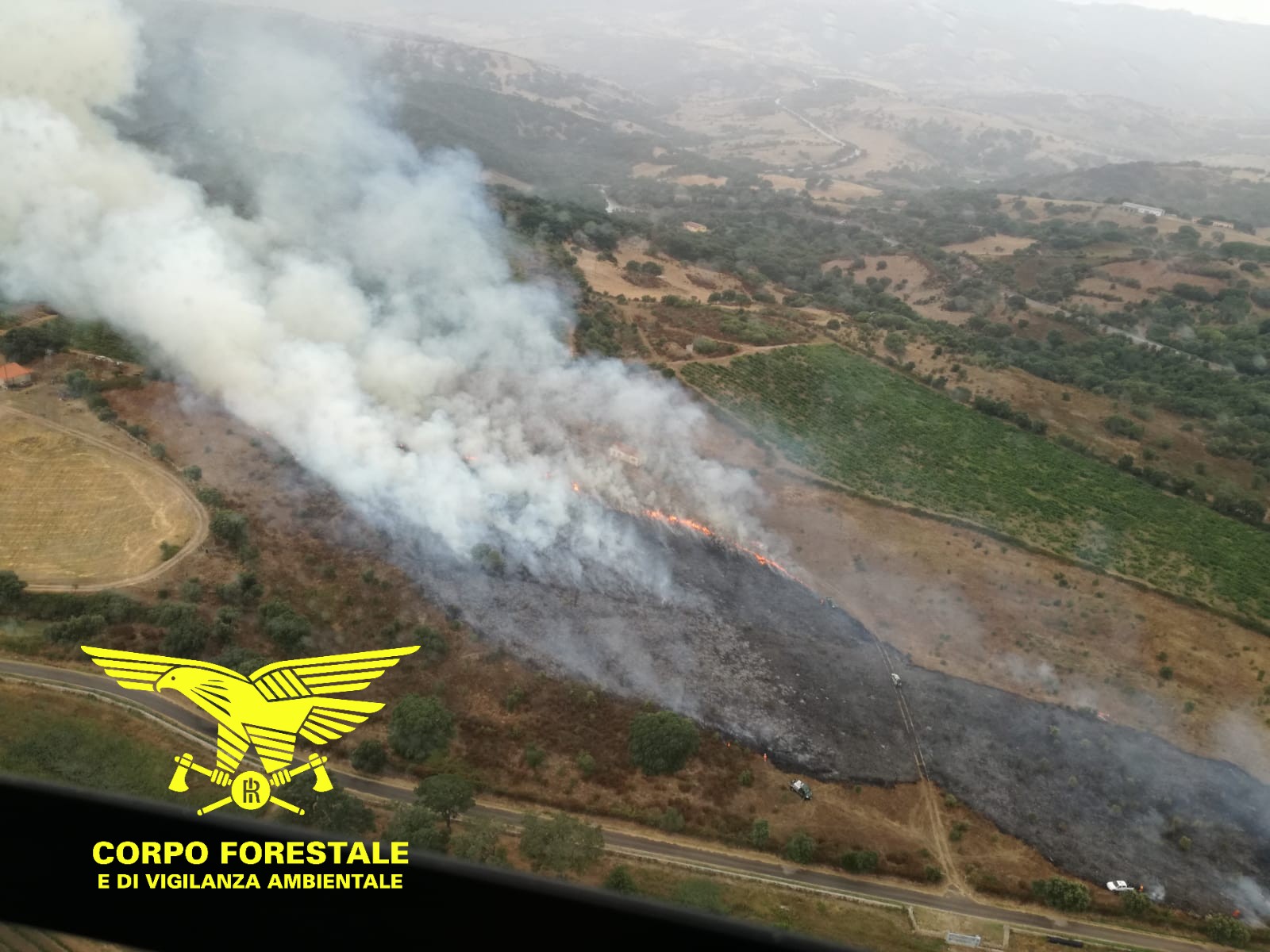 Gallura, doppio incendio: in fiamme Berchidda e Calangianus