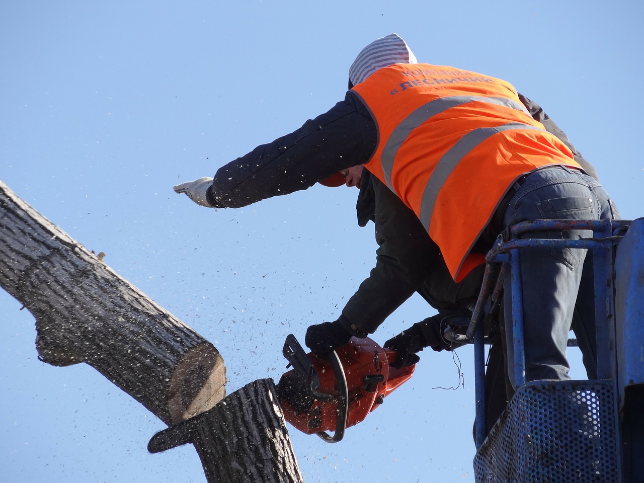 Arzachena: taglio degli alberi tra sicurezza stradale e polemiche  social