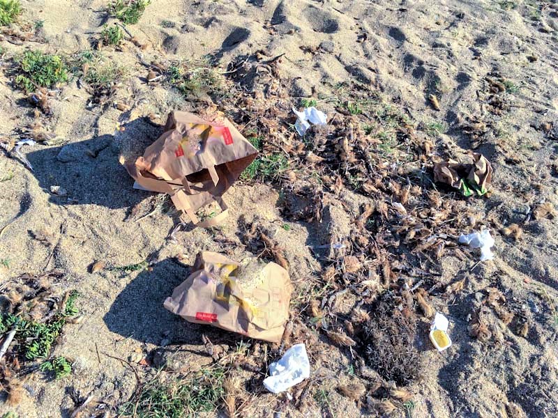 Olbia: ogni giorno in spiaggia rifiuti di pasto, ecco la segnalazione