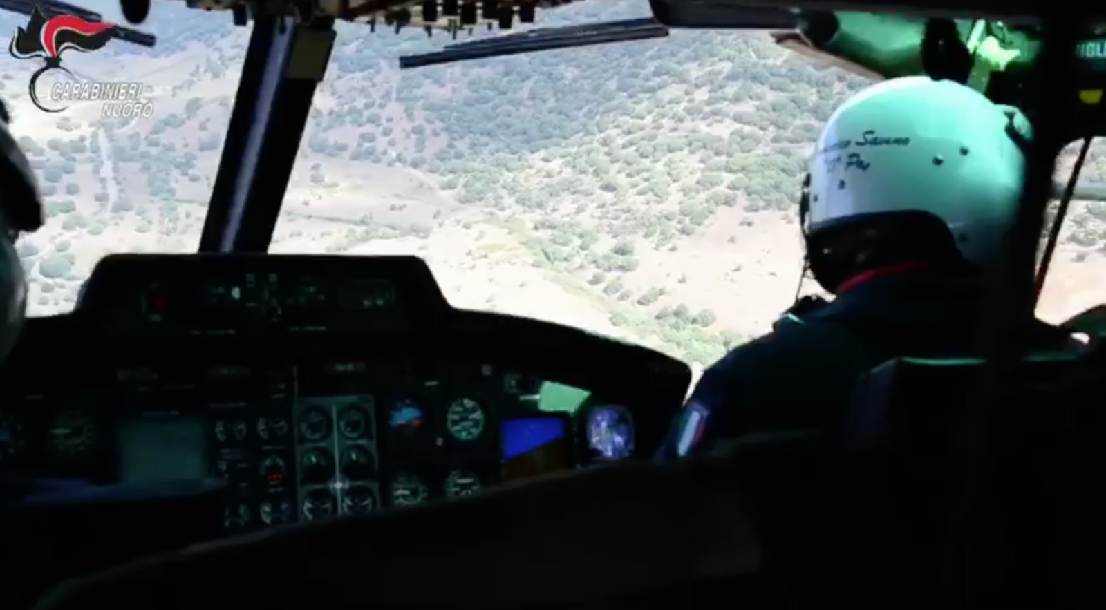 *VIDEO* Budoni, maxi piantagioni: le immagini dall'elicottero