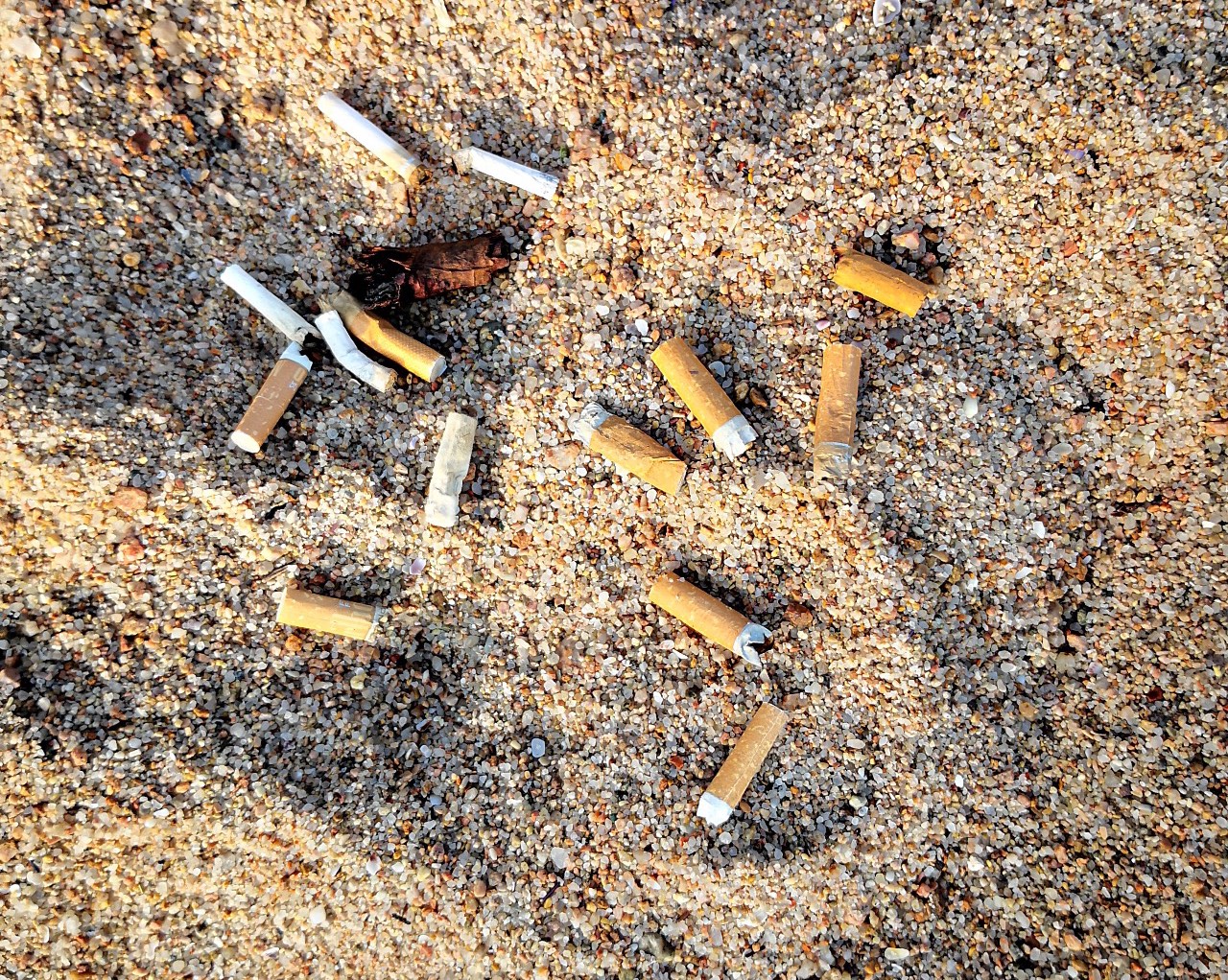 Olbia: cicche sulla riva, ma in spiaggia nessun cartello di divieto