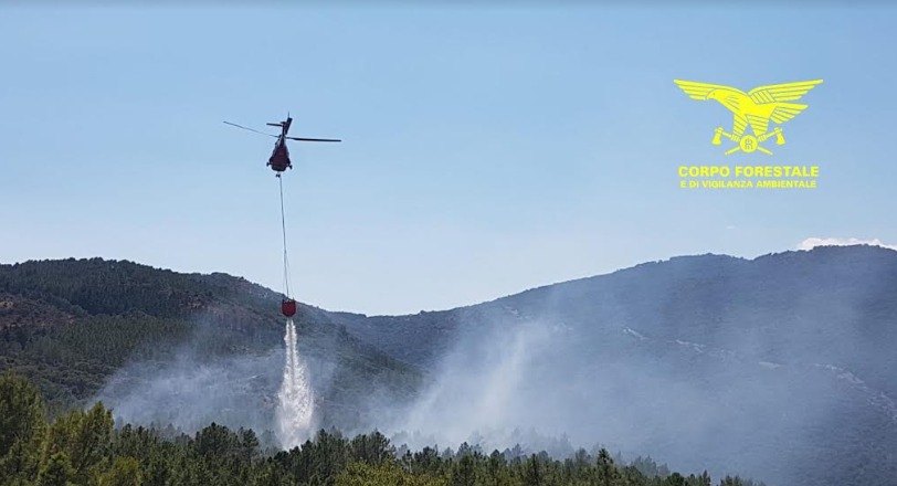 Giornata di incendi, a Padru intervengono 2 elicotteri: ettari in fumo