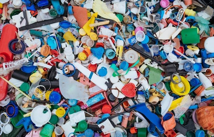 Santa Teresa Gallura: Sardinia Ferries e Worldrise al World Clean Up Day