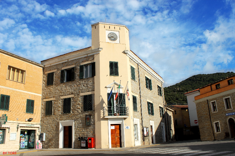 Berchidda: Camminata tra gli olivi in un 