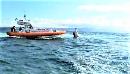 Barca affonda nelle acque di Alghero, salvati tre diportisti