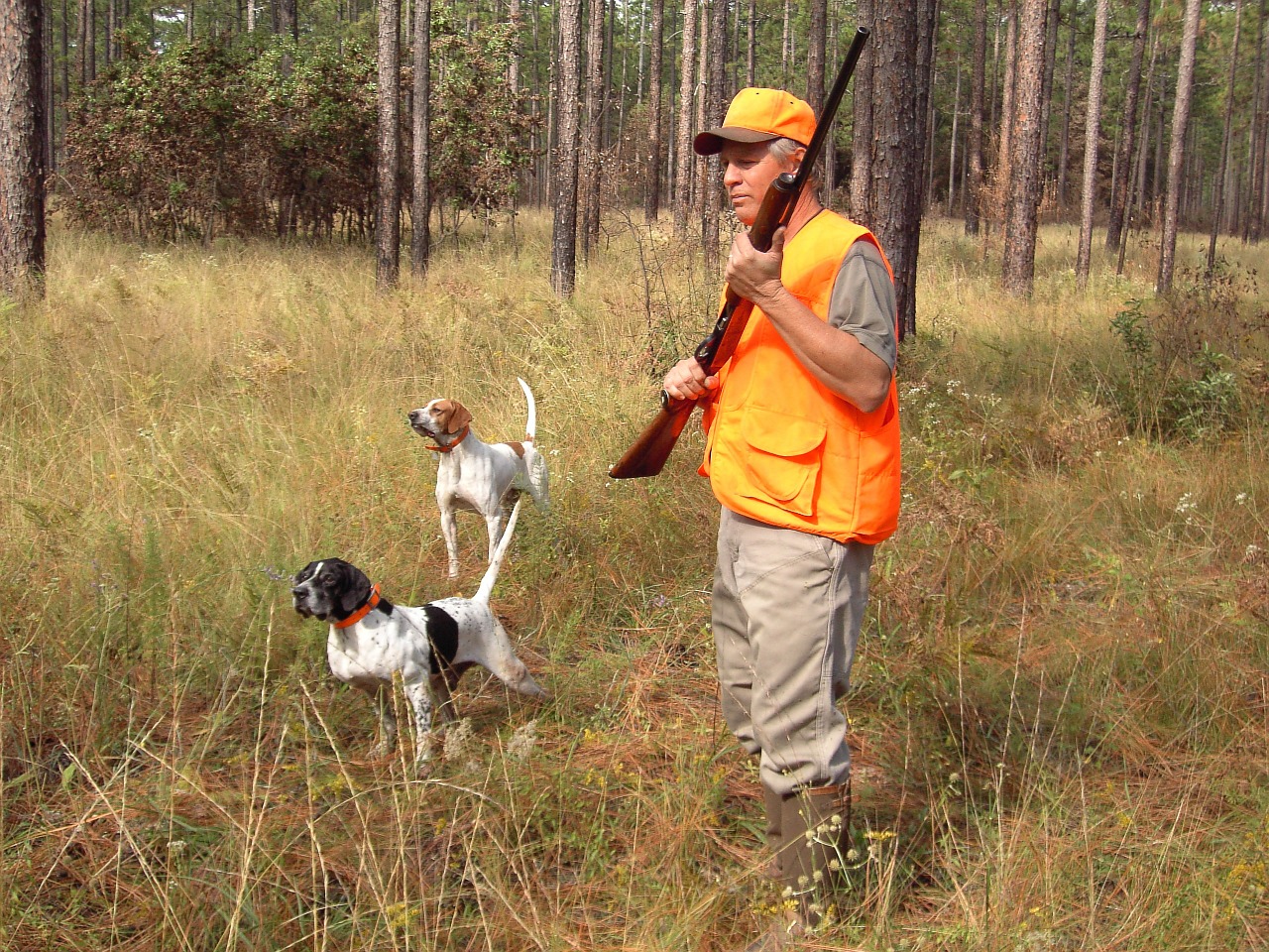 Budoni: la tassa regionale caccia si paga con PagoPa