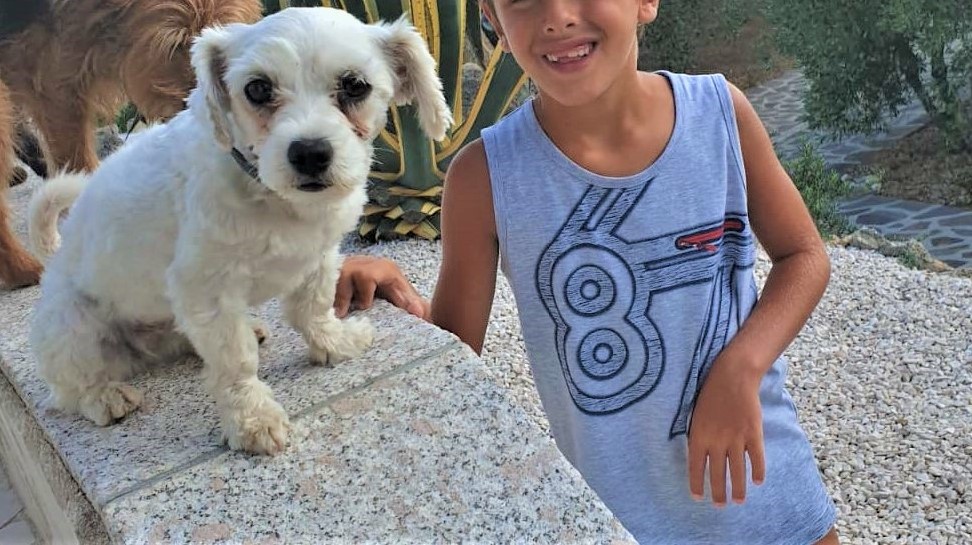 Olbia: aiutiamo Mia a tornare dal suo piccolo proprietario