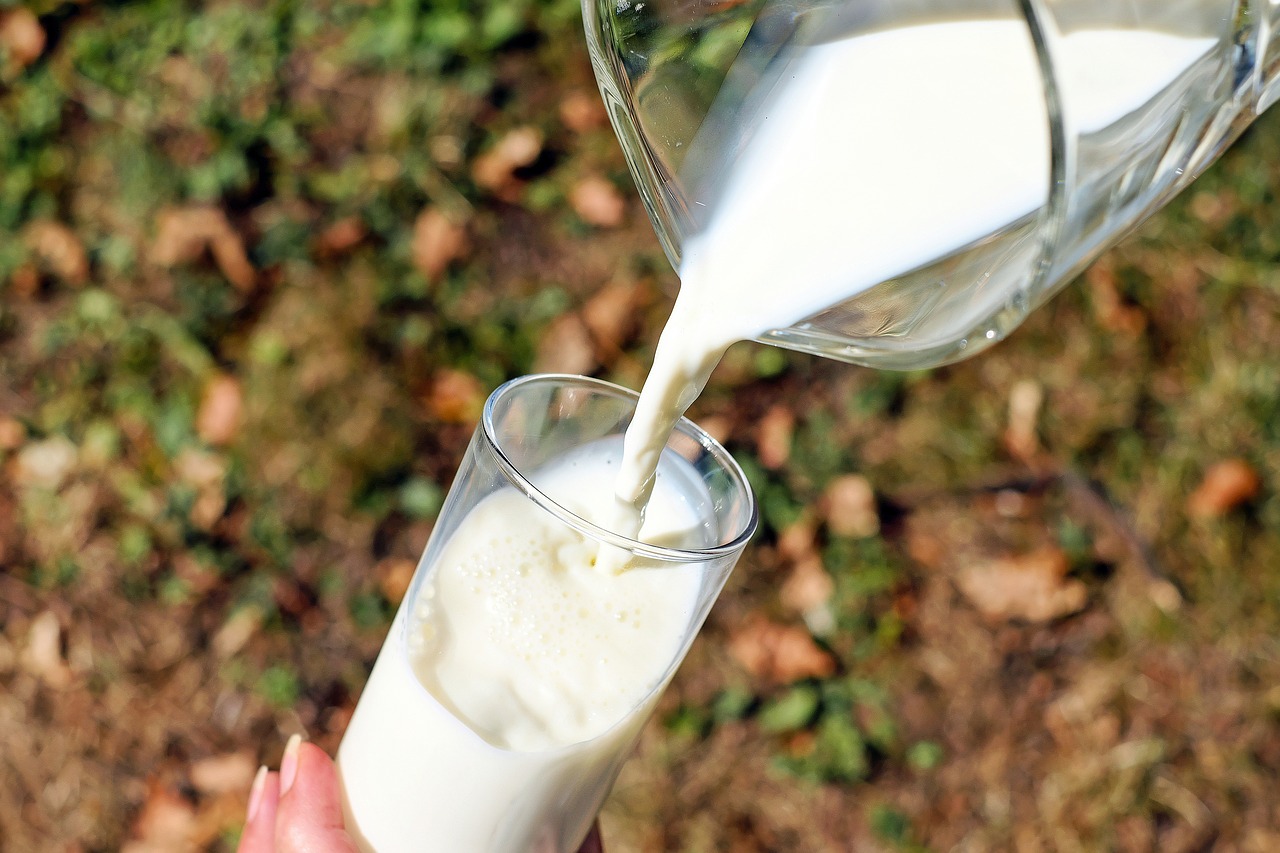 Sardegna: niente farmaci nel latte Arborea