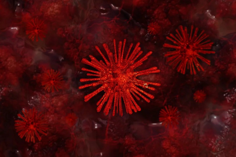 Coronavirus, casi sospetti e tamponi positivi: facciamo chiarezza