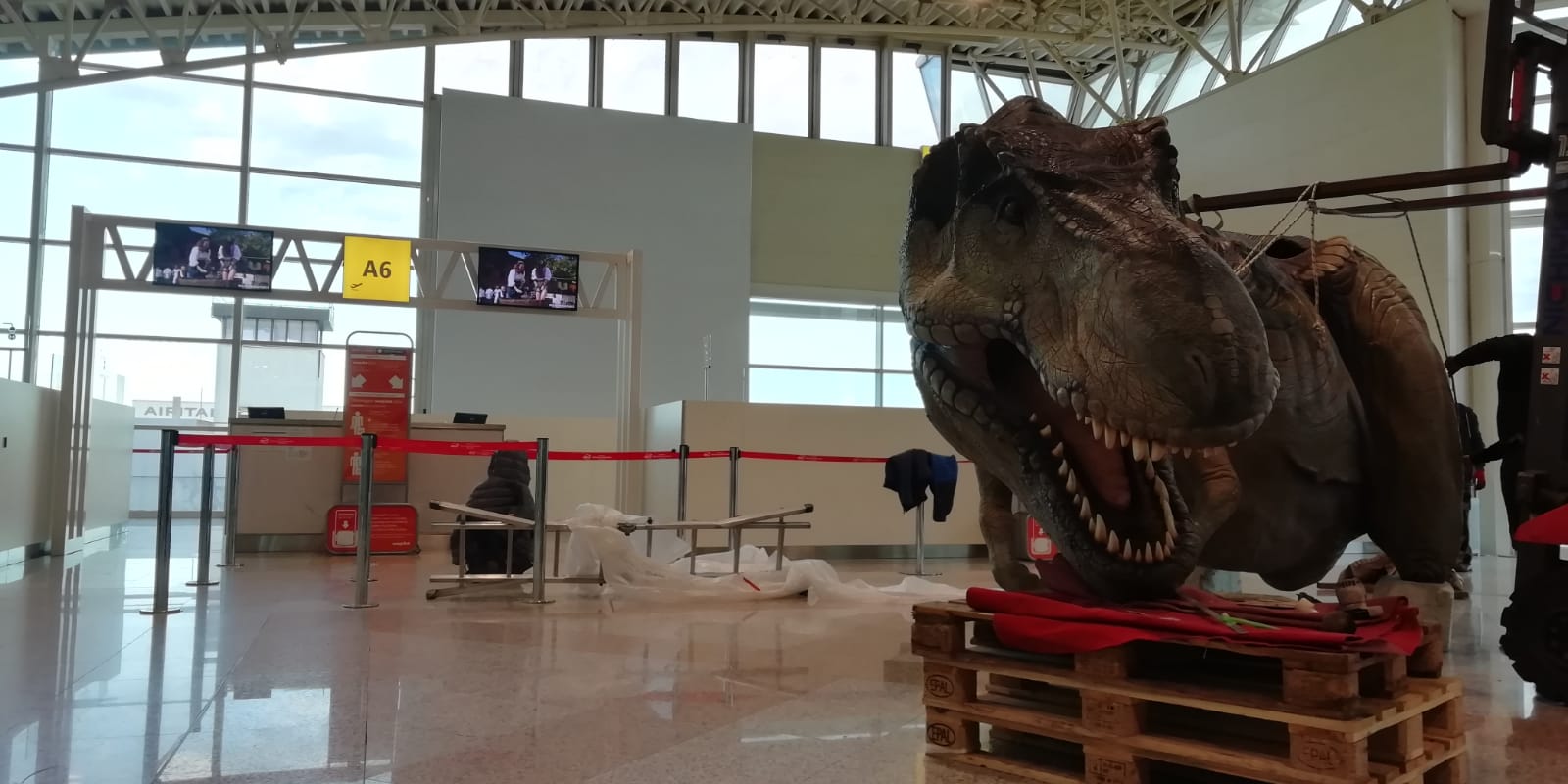 Aeroporto Olbia, il Flight Club apre alle 18: ecco tutti gli eventi del week end