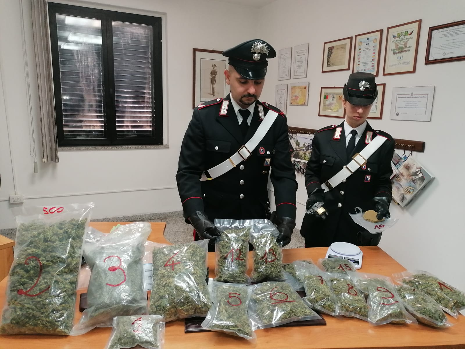 La Maddalena, chili di droga nell'isola ecologica: il sequestro